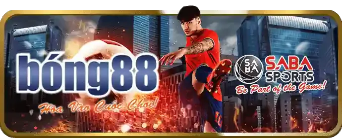 Đa dạng các môn thể thao tại sc882 nhà cái